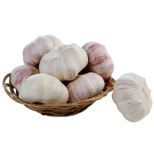 Hot sale Chinese fresh red garlic supply with various garlic packages from garlic wholesale supplier in new crop